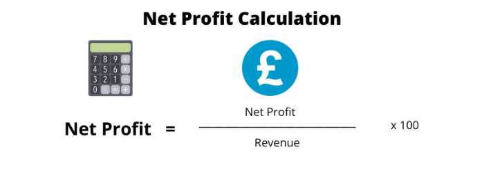 What is an Income Statement? Net profit margin calculation