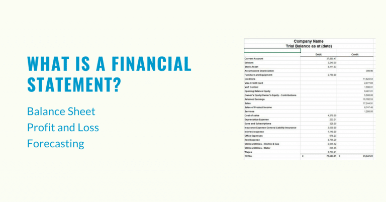What is a Financial Statement