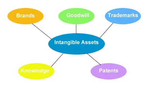 Intangible Assets on the Balance Sheet Intangible Assets List